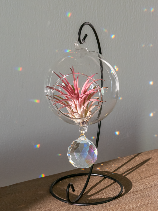 Suncatcher met rode airplant op standaard