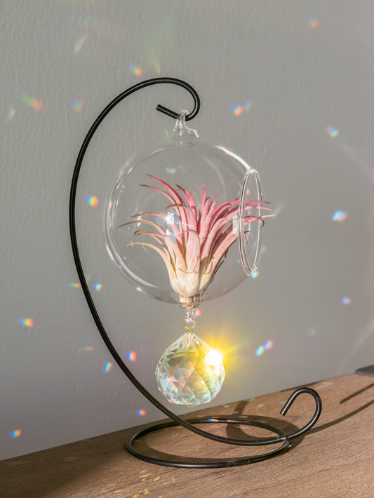 suncatcher met rood luchtplantje op standaard