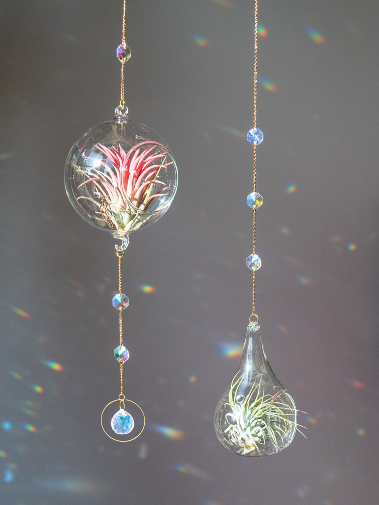 Raamdecoratie Hangers, Shop Raamdecoratie/Zonnevanger Vogel Gemaakt Van Hout Met Kristal, Spectra Crystal Raamdecoratie Hangers, Shop Raamdecoratie/Zonnevanger Vogel Gemaakt Van Hout Met Kristal, Spectra Crystal